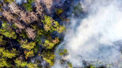 This Startup Could Spark a Revolution in Early-Wildfire Detection