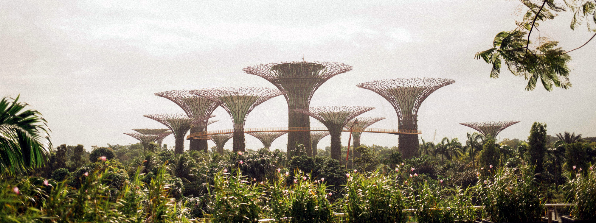 How Singapore Became Asia's Launch Pad for Sustainable Innovation & Tech