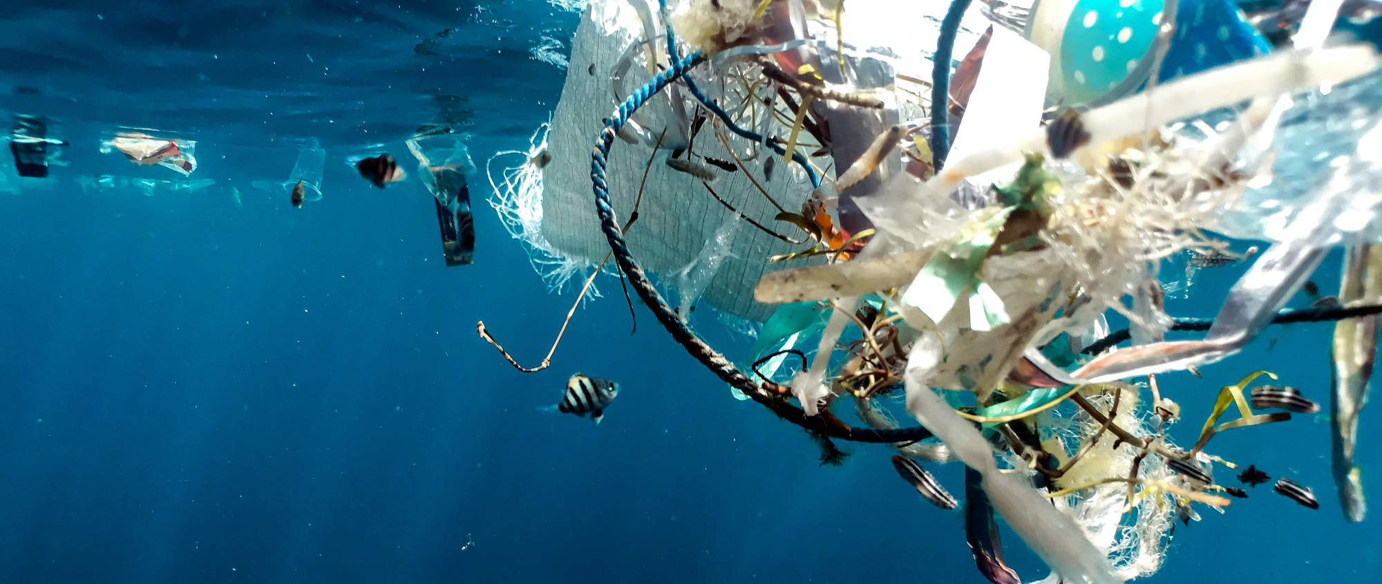 Will a Global Plastics Treaty Effectively Curb Plastic Pollution?