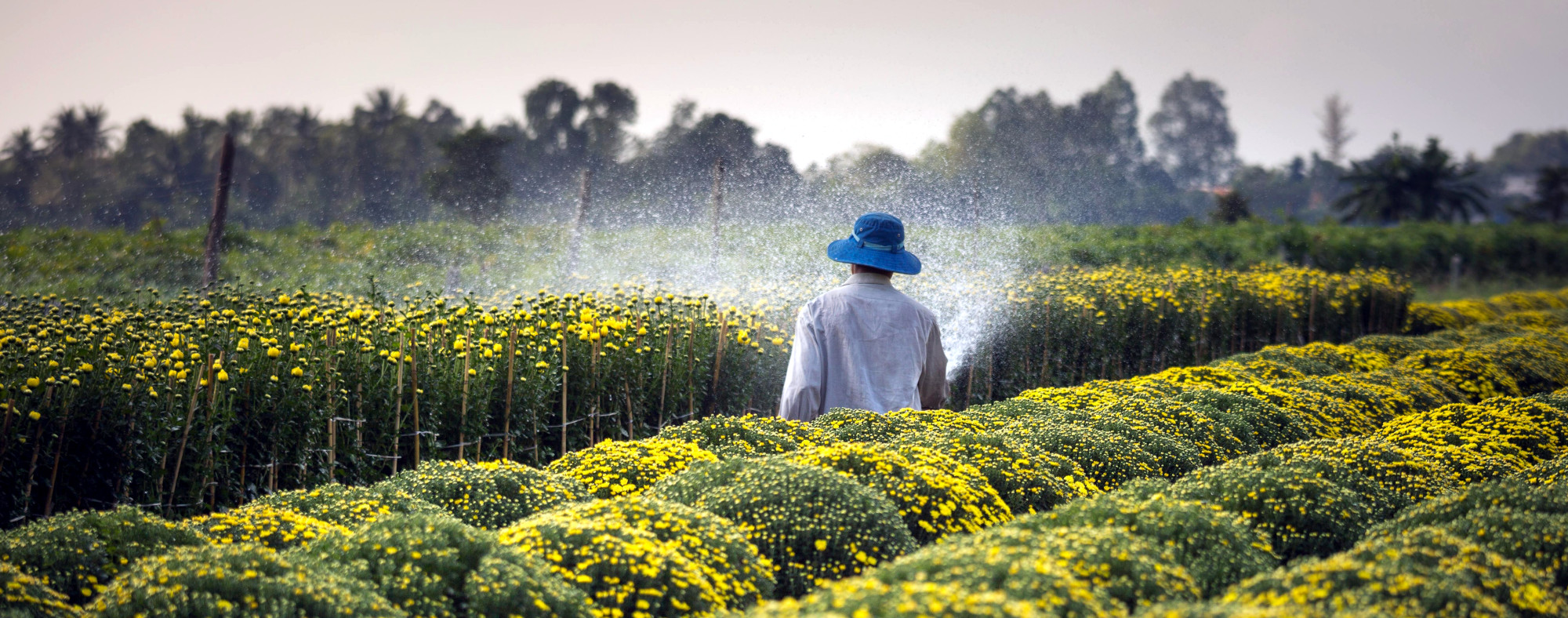 New Project Drawdown Strategy Will Engage Agriculture in the Climate Fight