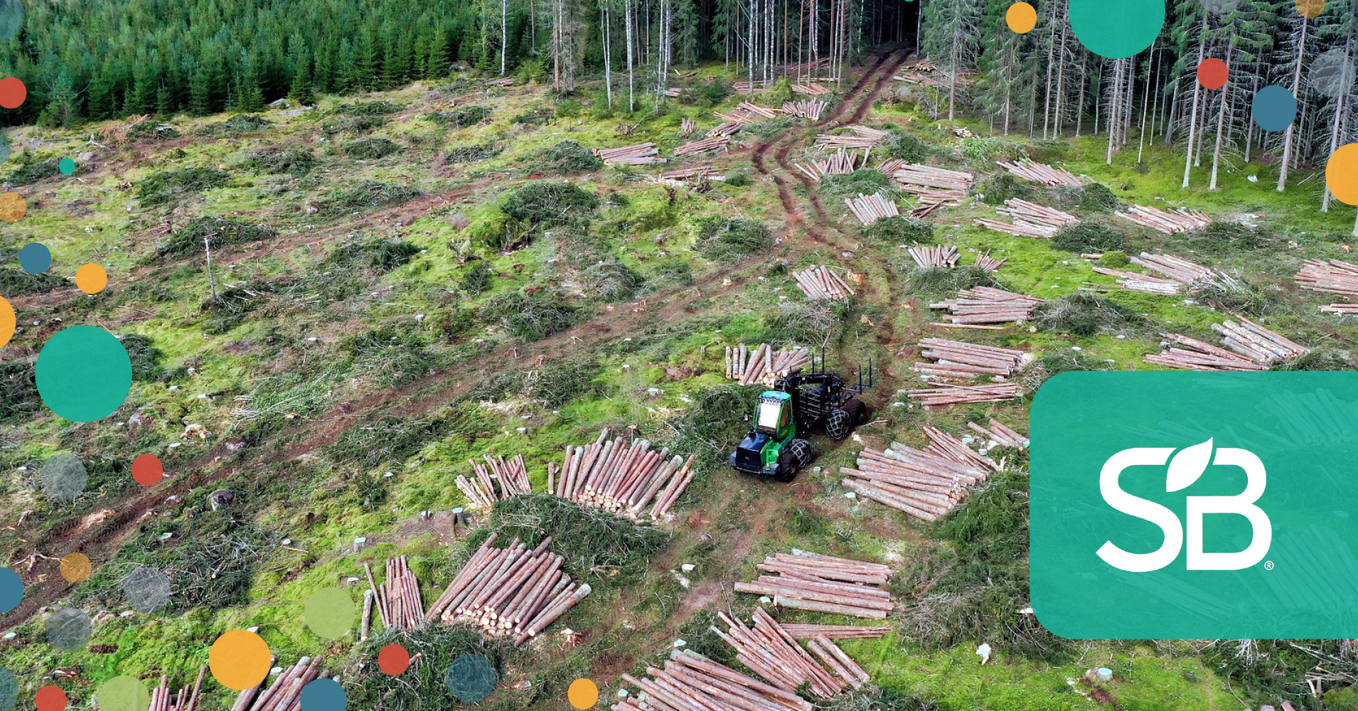 More Companies Cutting Deforestation Out of Supply Chains