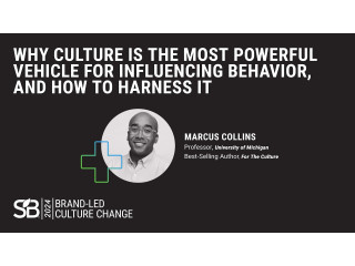 Why Culture is the Most Powerful Vehicle for Influencing Behavior, and How to Harness it