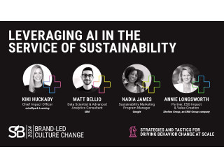 Leveraging AI in the Service of Sustainability