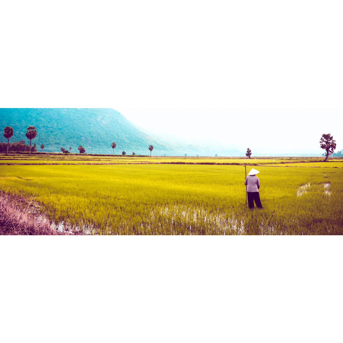 The Climate Communication Playbook: Establish Trust to Maximize Impact