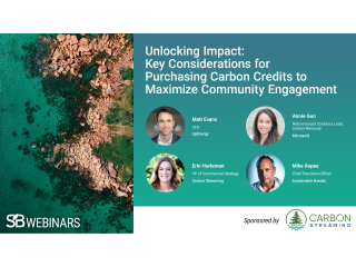 Unlocking Impact: Key Considerations for Purchasing Carbon Credits to Maximize Community Engagement