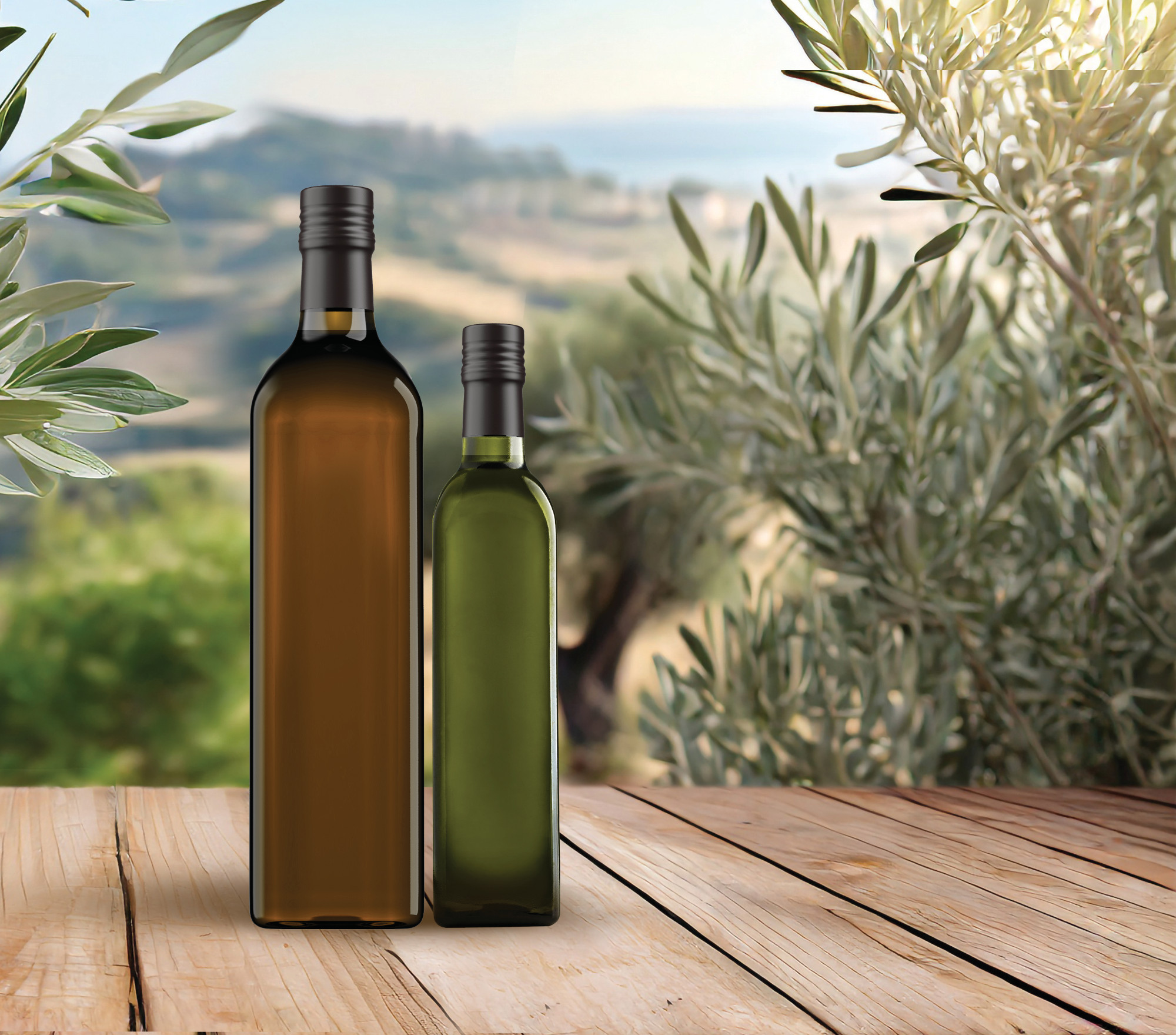 Olive Oil’s Packaging Puzzle: Glass or Plastic?