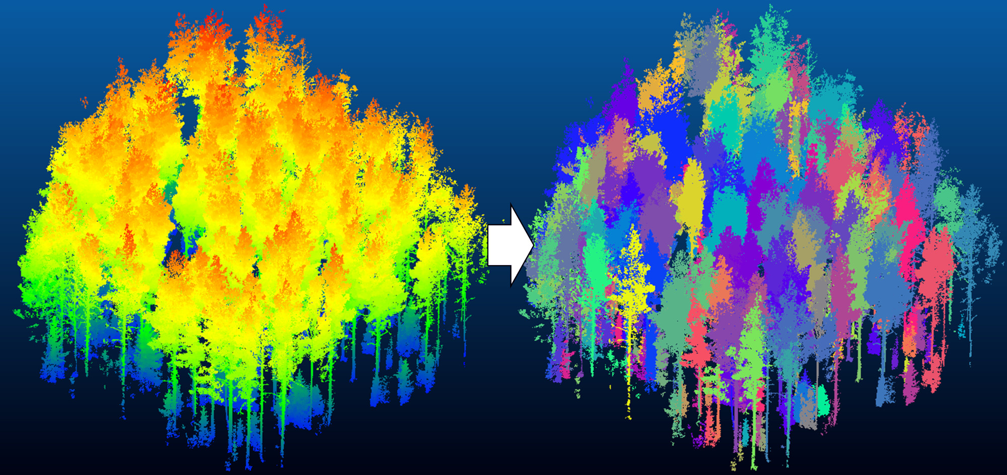 Purdue Researchers Aim to Prevent Wildfires by ‘Studying Every Tree’