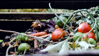 US’ Outdated Composting Infrastructure Offers Golden Investment Opportunity