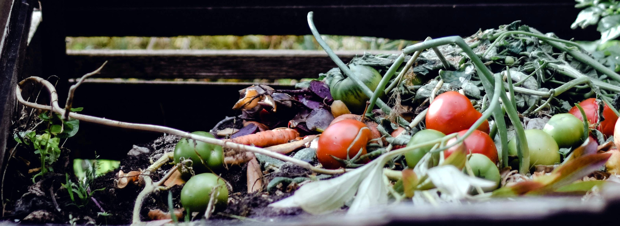 US’ Outdated Composting Infrastructure Offers Golden Investment Opportunity