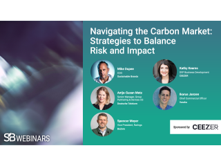 Navigating the Carbon Market: Strategies to Balance Risk and Impact