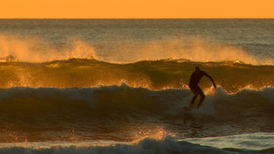 Study: Surf Breaks Key to Health of Climate, Ecosystems, Coastal Communities