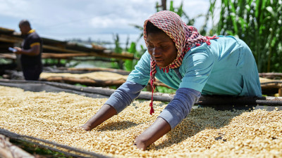 Smallholder Voices Are Critical in Ethical Supply Chains