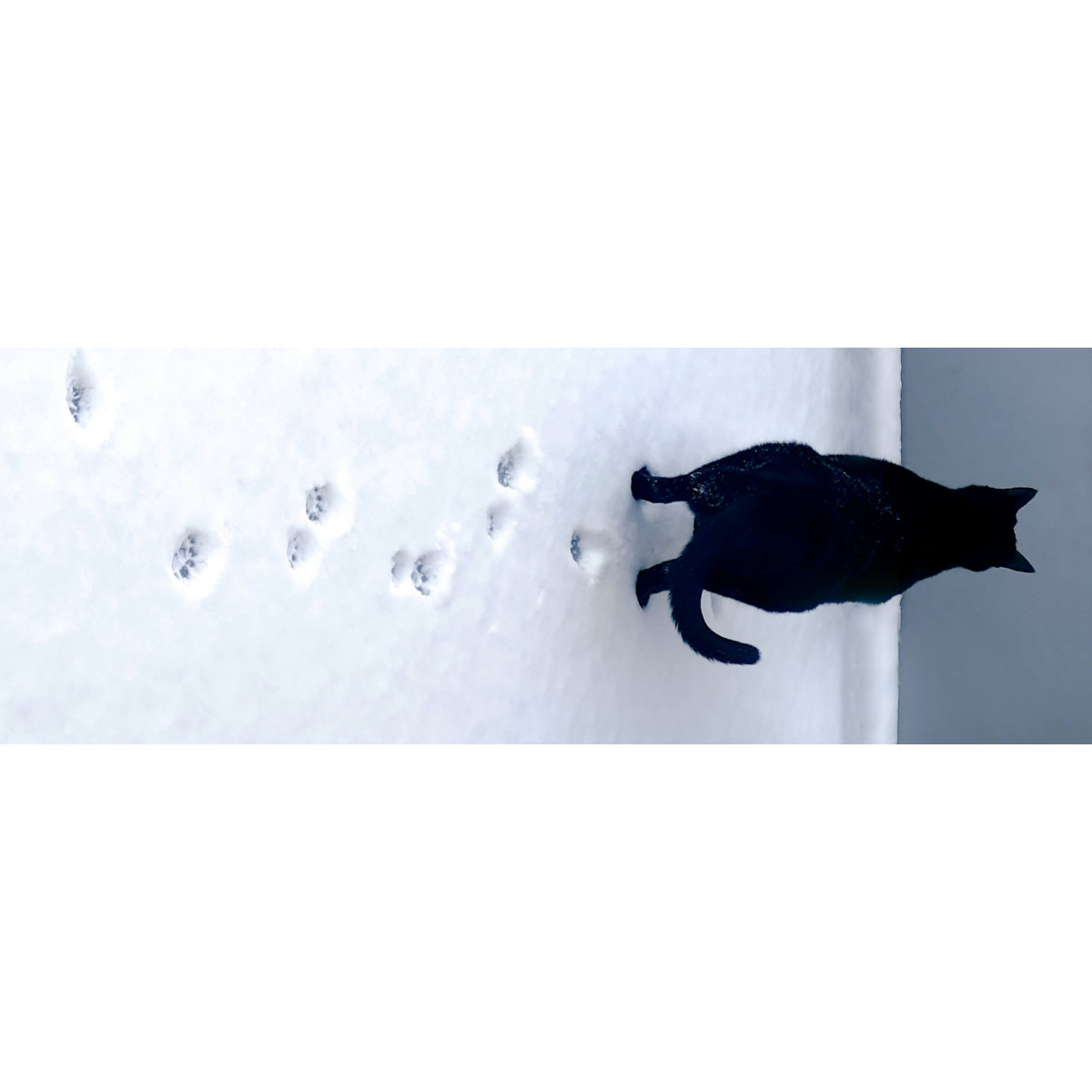 Mars Seeks Innovators to Reduce the Footprint of Pet Food