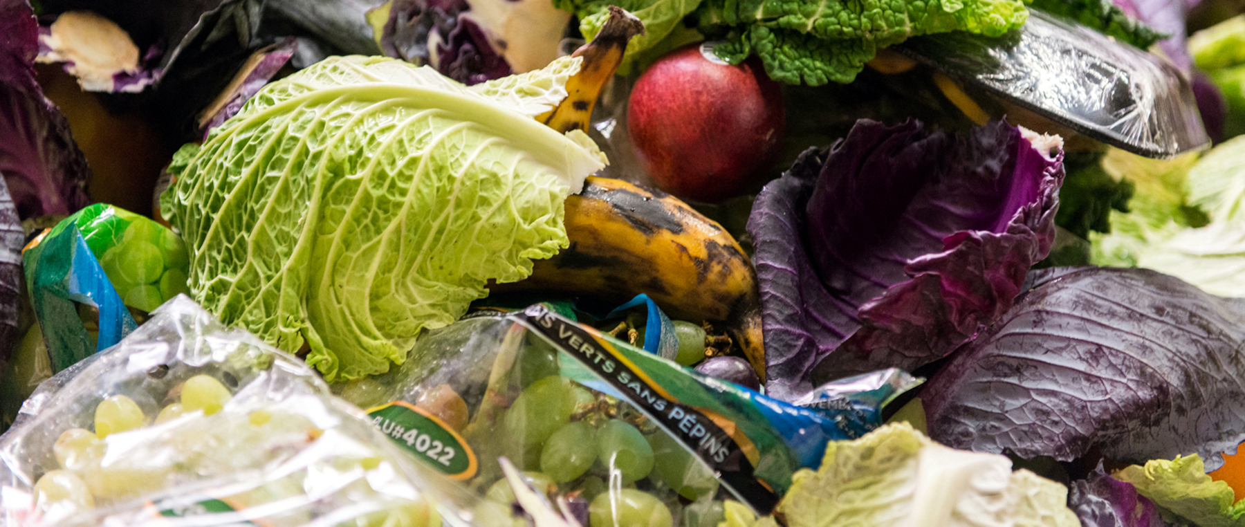 New Tool Tracks US Food-Waste Legislation Landscape