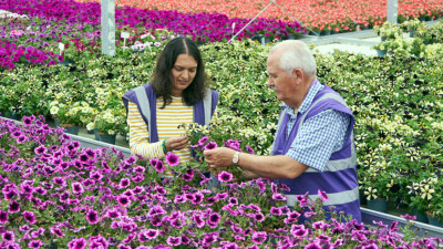 Unilever Refreshing Fragrance Formulas with Upcycled Flowers