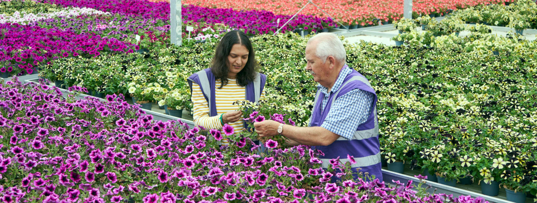 Unilever Refreshing Fragrance Formulas with Upcycled Flowers