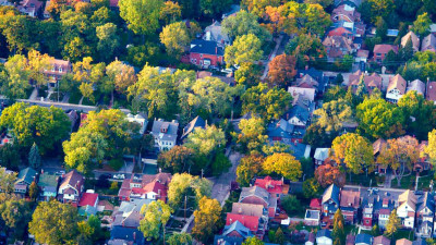 Urban Forests: An Essential Tool for Climate-Resilient Communities