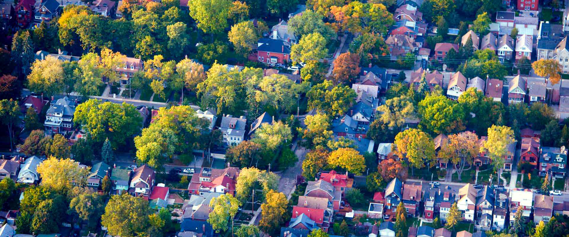 Urban Forests: An Essential Tool for Climate-Resilient Communities