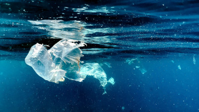 Bioengineering, Biomimicry Spawn Novel Solutions to Marine Plastic Pollution