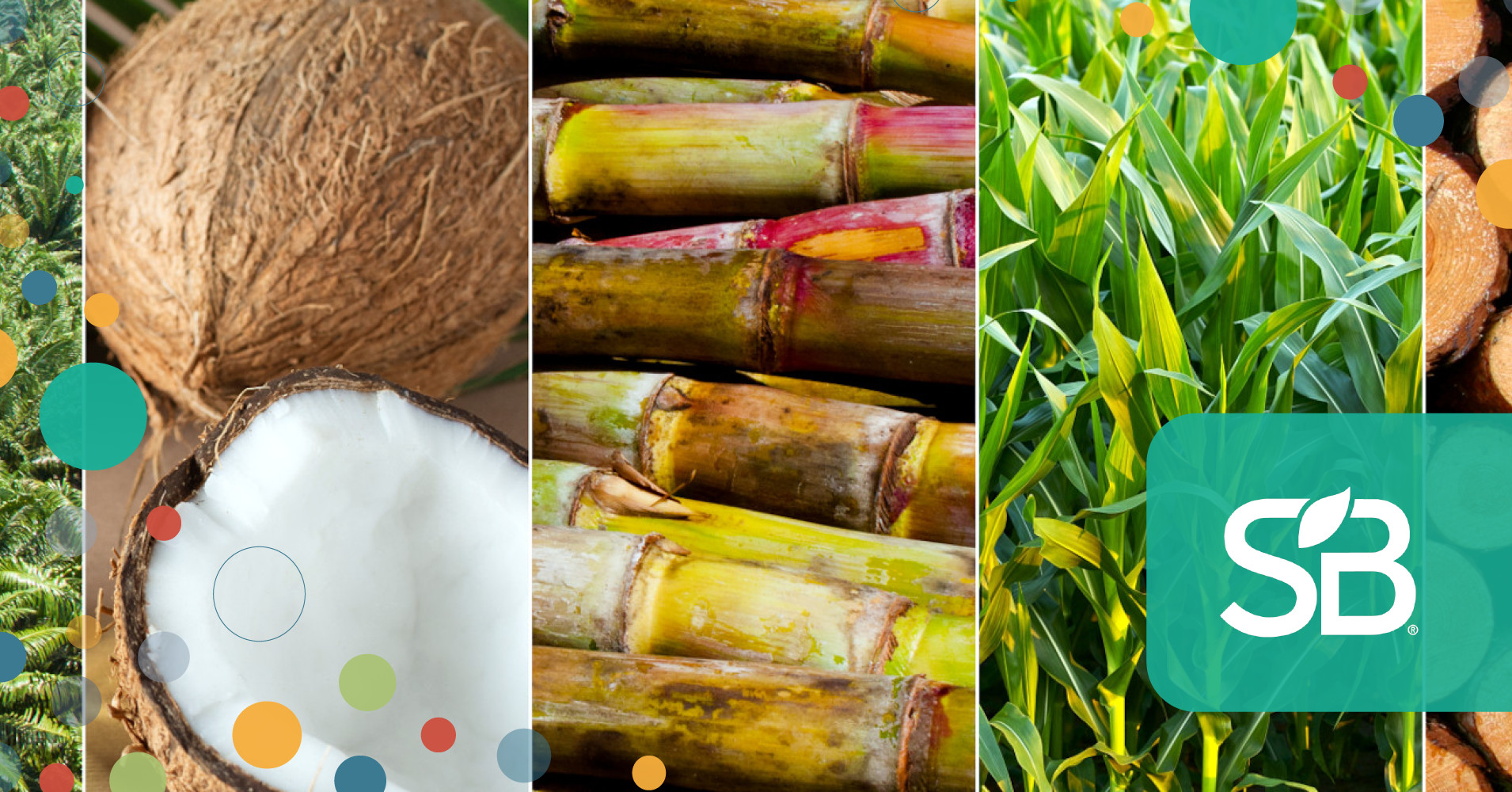 ACI Working to Clean Up Cleaning with Sustainable Feedstocks Initiative