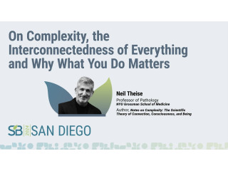 On complexity, the interconnectedness of everything and why what you do matters