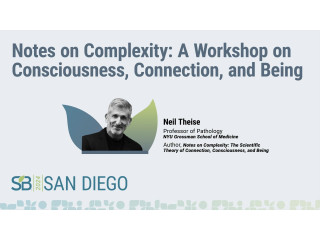 Notes on Complexity: A workshop on consciousness, connection, and being