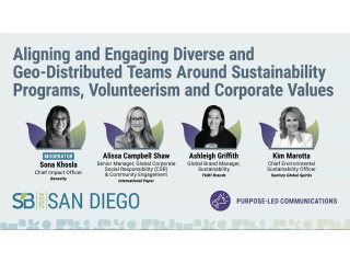 Aligning and engaging diverse and geo-distributed teams around sustainability programs, volunteerism and corporate values