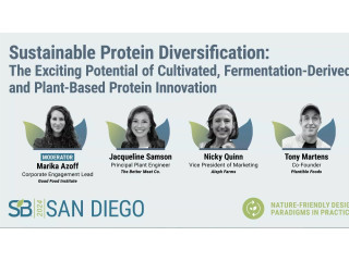 Sustainable protein diversification: the exciting potential of cultivated, fermentation-derived, and plant-based protein innovation