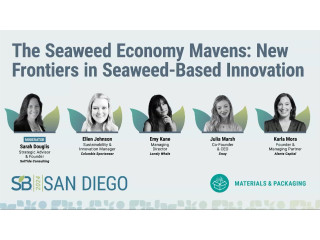 The seaweed economy mavens: New frontiers in seaweed-based innovation