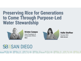 Preserving rice for generations to come through purpose-led water stewardship