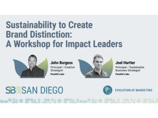 Sustainability to Create Brand Distinction: A Workshop for Impact Leaders