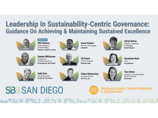 Leadership in sustainability-centric governance: Guidance on achieving and maintaining sustained excellence