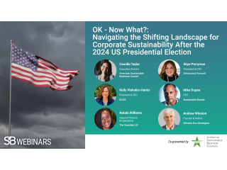 OK - Now What?: Navigating the Shifting Landscape for Corporate Sustainability After the 2024 US Presidential Election