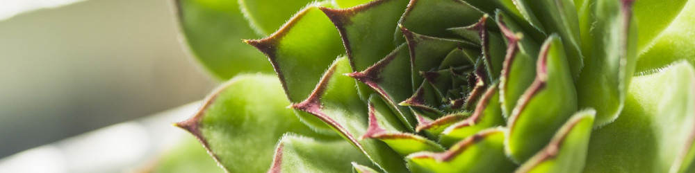 Demystifying Molecular Recycling: Tackling Common Packaging Sustainability Challenges