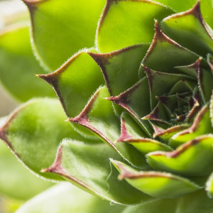 Demystifying Molecular Recycling: Tackling Common Packaging Sustainability Challenges Event Key Art