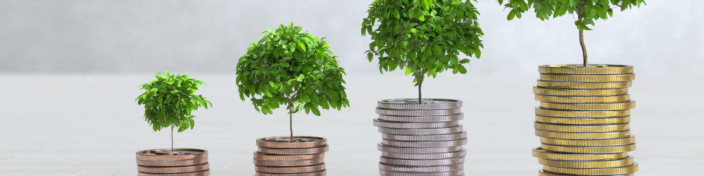 The ROI of Sustainability Part 1: What's Changed, What Hasn't and How to Move Forward with Confidence