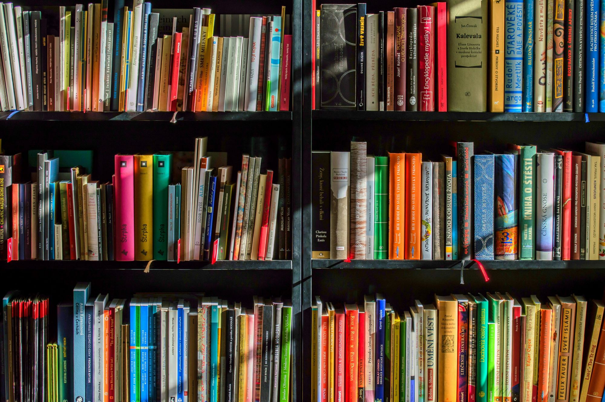 RLG Unveils New Training Program to Help Businesses Master Complex EPR Rules