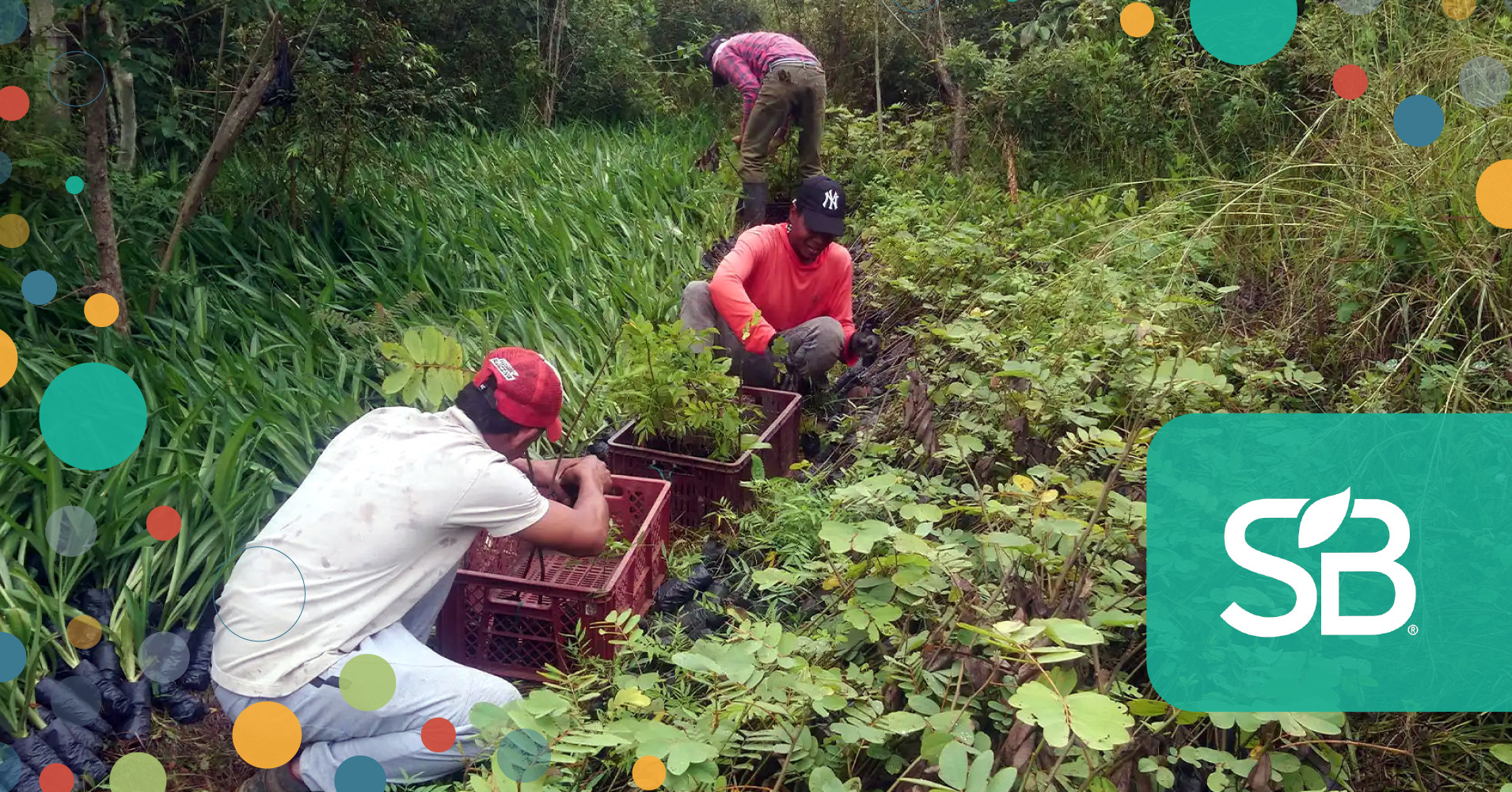 Community Roots: Reforestation Investments Must Center on People
