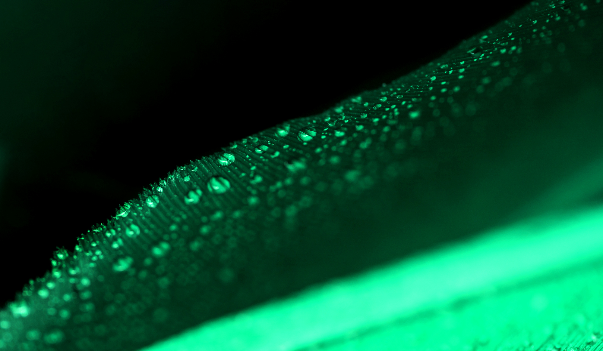 ‘The Gigacorn Hunter’: A New Breed of Climatech Investor