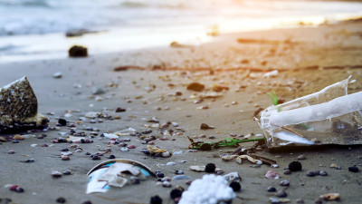 Plastic Pollution Devastating Human Health, Costing Trillions