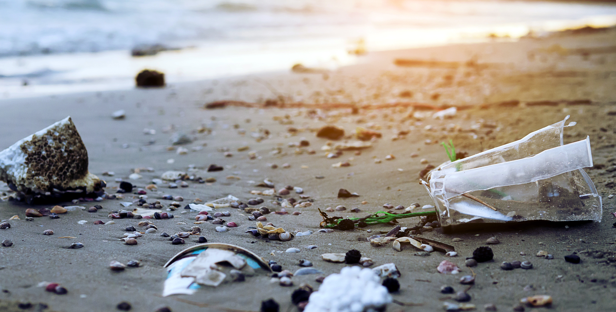 Plastic Pollution Devastating Human Health, Costing Trillions