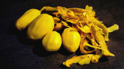 Microbes, Milk & Potato Peels: The Future of Sustainable Plastics?