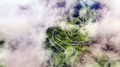 The CFO's Guide to Carbon Removals: Strategic Value in Volatile Times