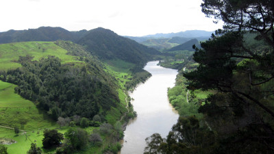 Nature as Shareholder: Reimagining Ownership