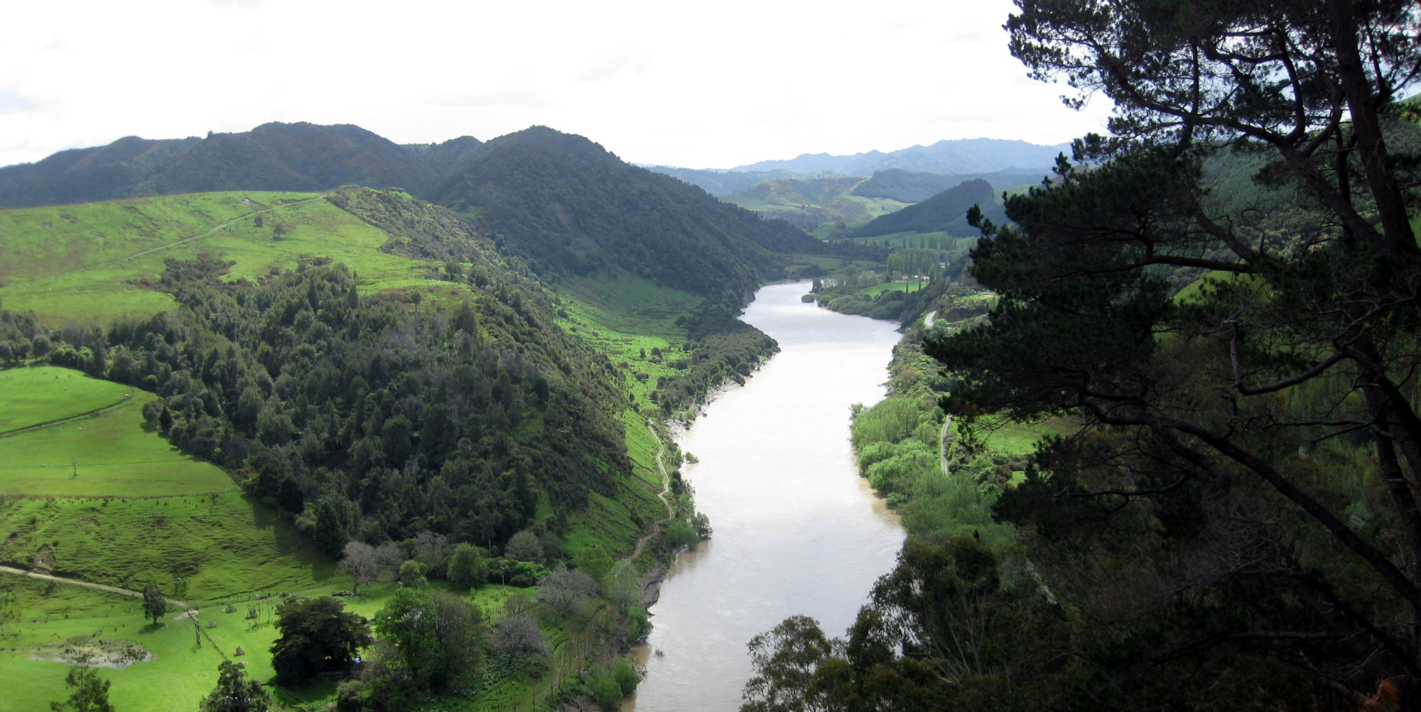 Nature as Shareholder: Reimagining Ownership