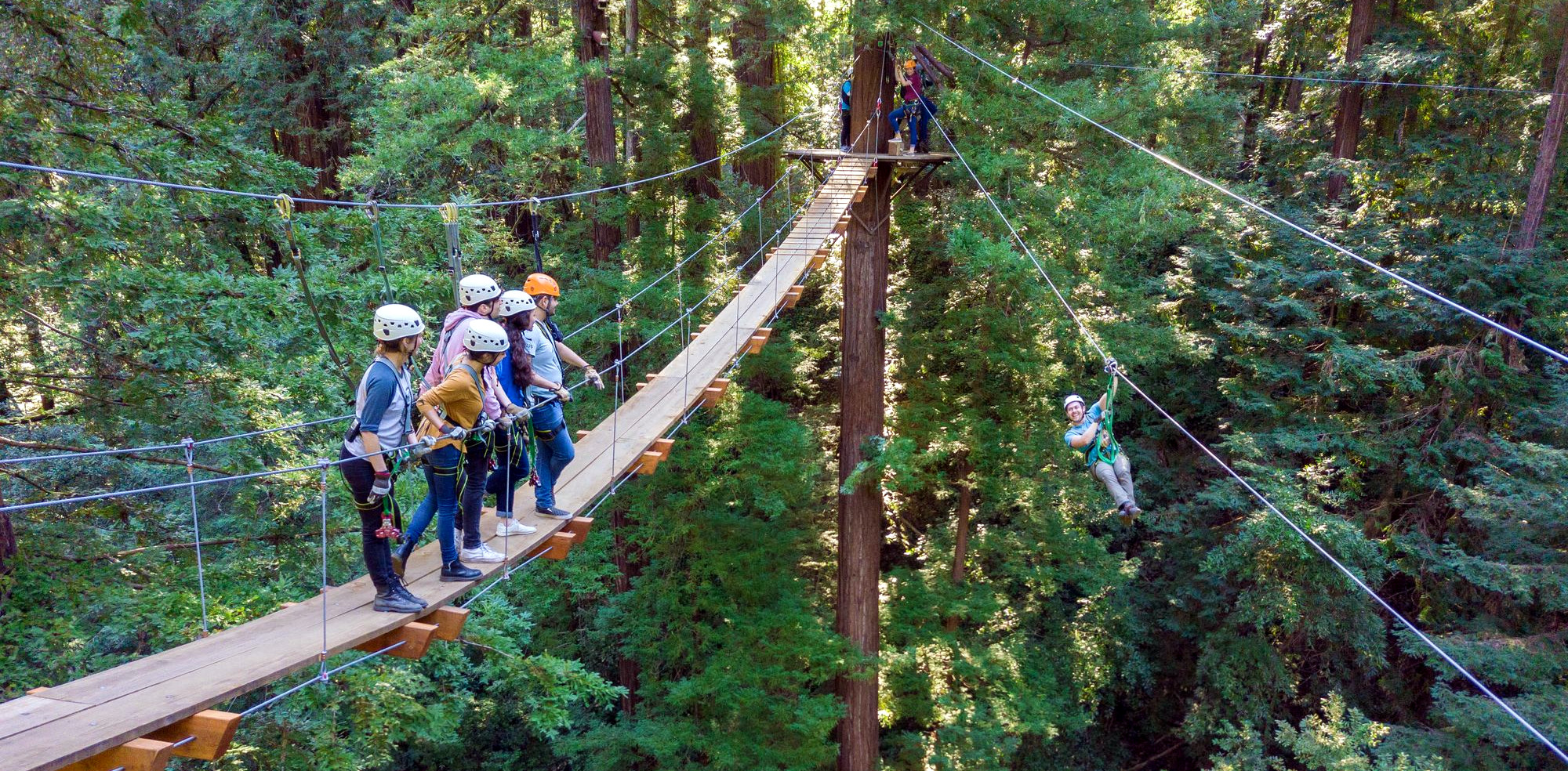 Divided Americans United in Cherishing Nature