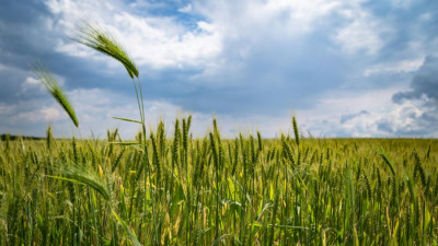 ADM Surpasses 5 Million Acre Regenerative Agriculture Target