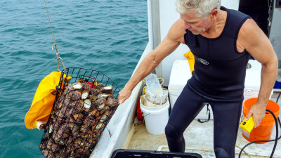 3 Ways Visual Storytelling Can Inspire Action, Build Trust