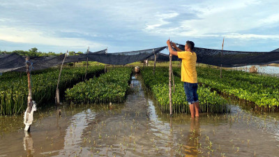 Why Digitizing Climate Action Is a ‘Billion-Dollar Opportunity’