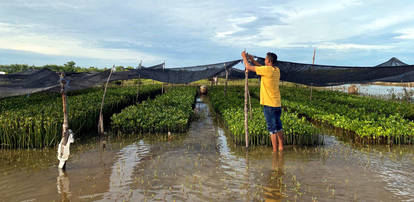 Why Digitizing Climate Action Is a ‘Billion-Dollar Opportunity’